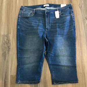 Lane Bryant Women's Skinny Jeans - Faded Blue Denim